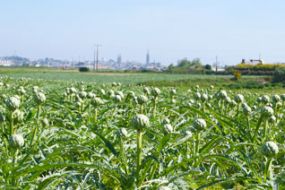 Michèle Guivarch et Joseph François à la Ferme de Kerguelen