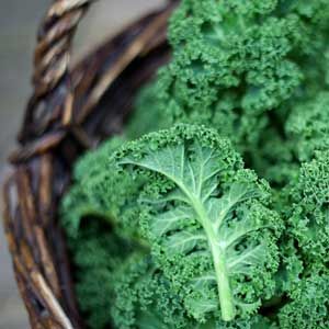 Visites de la Ferme de Kerguelen